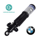 Remanufactured air suspension strut 7 BMW (F01, F02,...