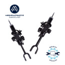 BMW F07 GT (Gran Turismo) Shock absorber, front