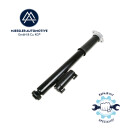 Mercedes E-Class 4Matic Coupe C238 shock absorber, rear