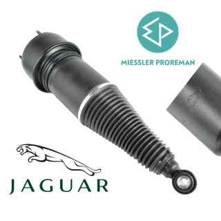 Jambe de force pneumatique reconditionnée Jaguar XJ Series (X350, X358) arrière C2C41341, C2C41343