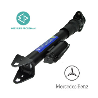 Mercedes GL-Clase X164 Amortiguadore suspensión A1643203031