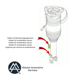 Amortyzator pneumatyczny VW Phaeton tył prawy 3D0616002H